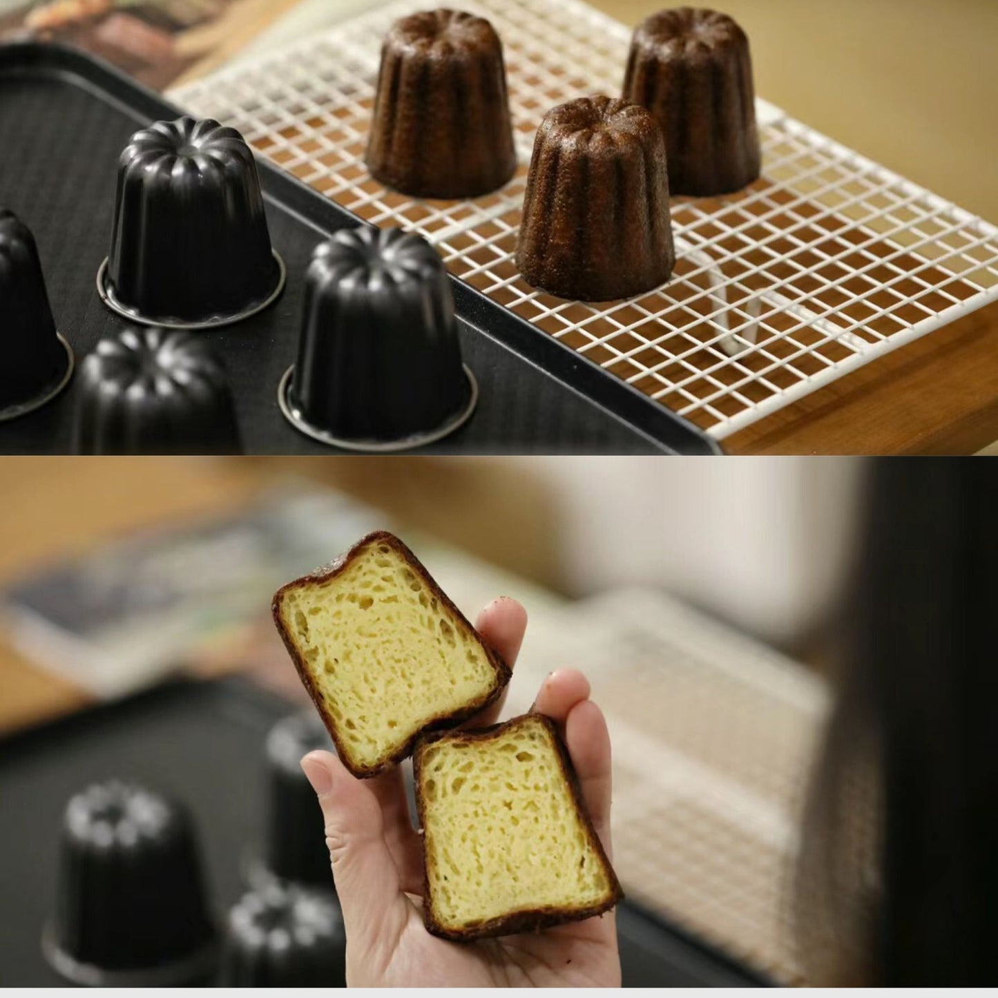 Japan Canele Non-Stick Mold